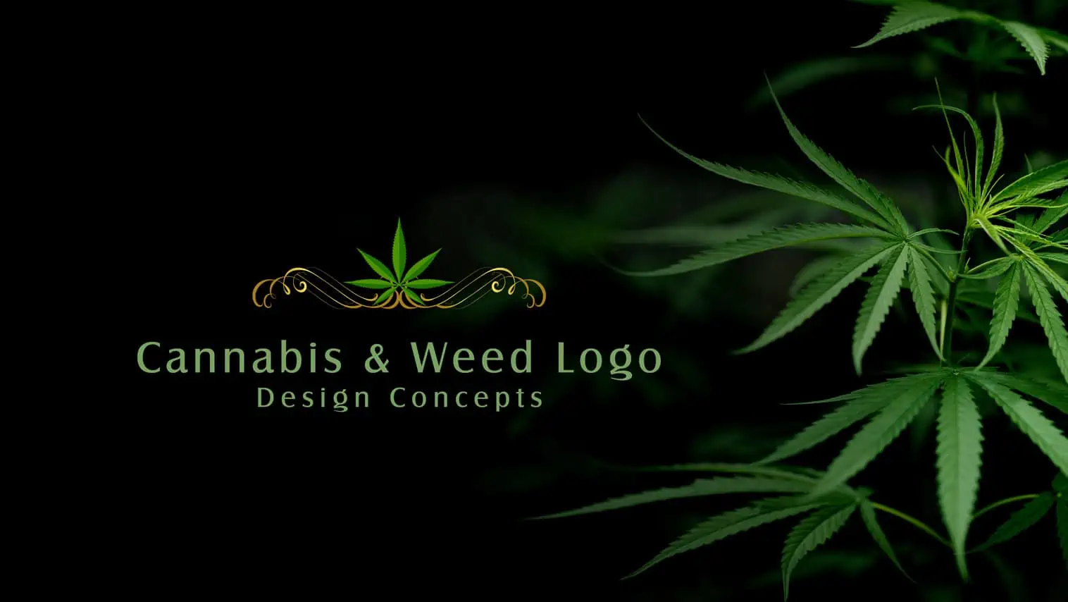 Concepts impressionnants de conception de logos de cannabis ...