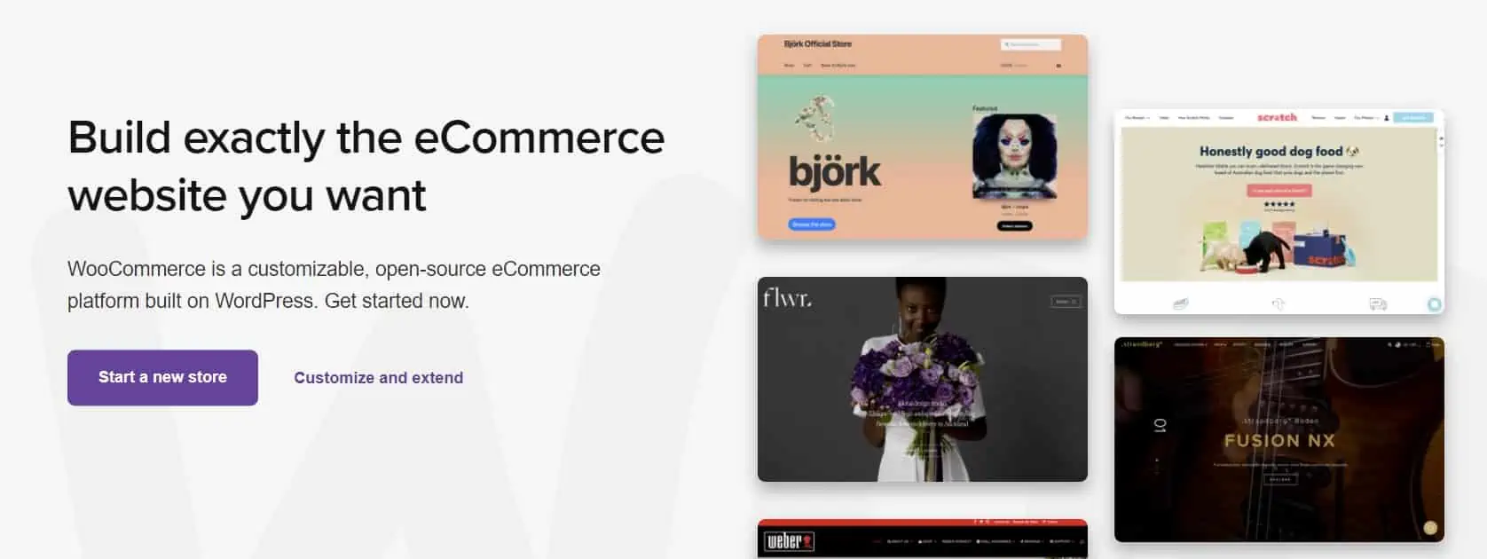 WordPress WooCommerce platform. 